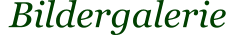 Bildergalerie